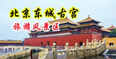 操东北骚屄视频中国北京-东城古宫旅游风景区